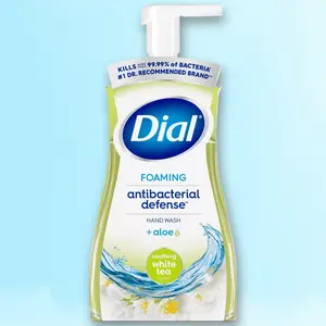 Dial Soothing Whe Tea Foaming Antibacterial Hand Wash - 10 fl oz