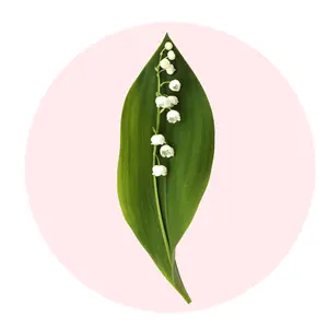 Lily of the Valley – Fresh Dewy Floral Solid Perfume Pod