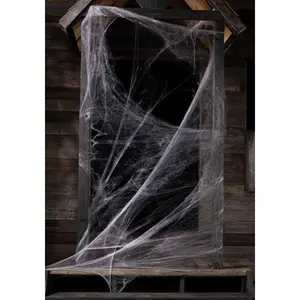 White Spider Web Decoration