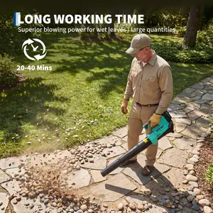 Versatile 20V Wireless String Trimmer & 550 CFM Leaf Blower Combo - 12-Inch Cutting Width, Lightweight with 8 Auto Line Feeds, 4 x 2.0Ah Batteries, 2 Fast Chargers, Up to 120 Min Runtime, Adjustable Height, 2-in-1 Edger & Lawn Tool