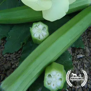 Okra Seeds - Clemson Spineless (Organic)
