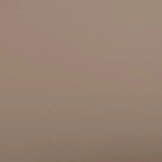 C0019  Khaki