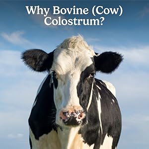 Lepi Trim 6 Nutritional Powder Drink Mix Vanilla | Chocolate Flavor 856g