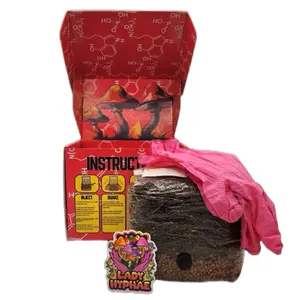Lady Hyphae 3lb All-In-One Mushroom Grow Bag with Instructive Manual Pink Gloves Sterilized Sorghum Grain CVG Substrate for Easy Cultivation