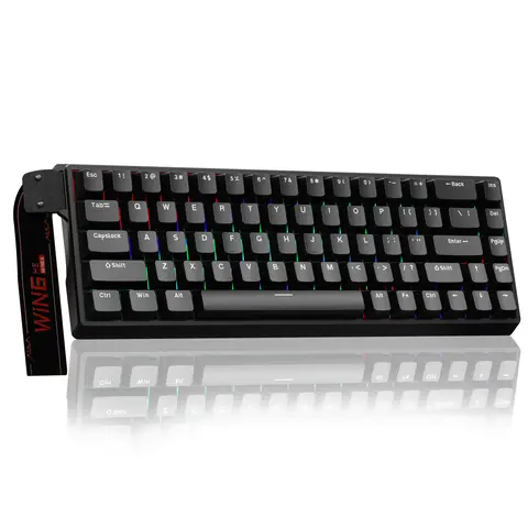 AULA WIN68-WIN60 HE Magnetic Hall Effect Wired Gaming Keyboard - 0.3ms Low Latency, 8000Hz Polling Rate, Rapid Trigger, Adjustable Actuation, Hot-Swappable Compact RGB Illuminated Keyboard for Custom Setup, PC Accessories, Gamer Gift Ideas, Rgb Lighting K
