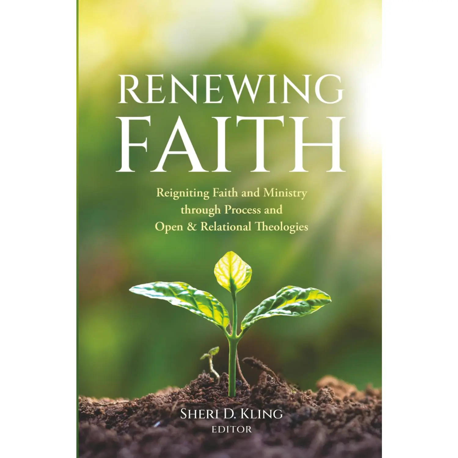 Renewing Faith: Reigniting Faith and Ministry through Process and Open & Relational Theologies