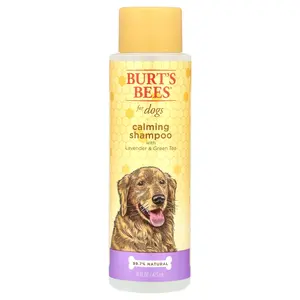 Burt's Bees Calming Shampoo For Dogs with Lavender & Green Tea, 16 fl oz (473 ml)