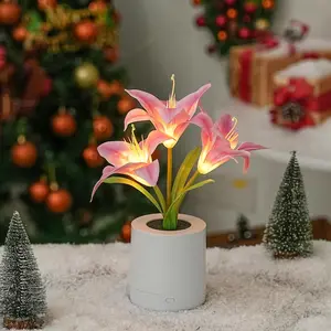 Rechargeable LED Lily Flower Pot Light Indoor Decoration Simulation Flower Christmas Birthday Gift for Female Moms