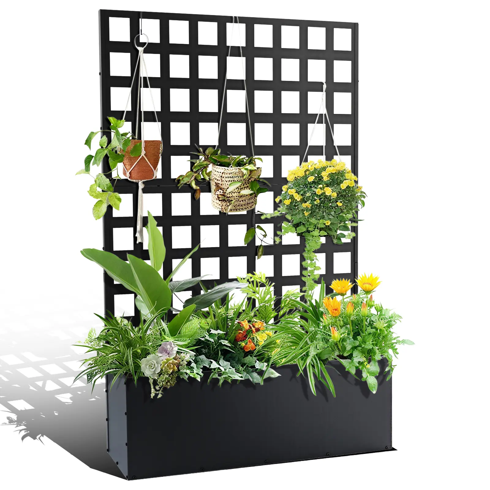 Privacy Trellis Raised Garden Bed - Durable Metal Planter Box with Drainage & Wheels - Outdoor Balcony or Patio Privacy Screen for Climbing Plants, Vegetables, Flowers - Black or White