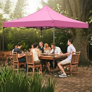 GDY 10x10 Ft Outdoor Pop-Up Canopy Tent, Portable Instant Folding Shelter Gazebos Waterproof Canopies with Carrying Bag