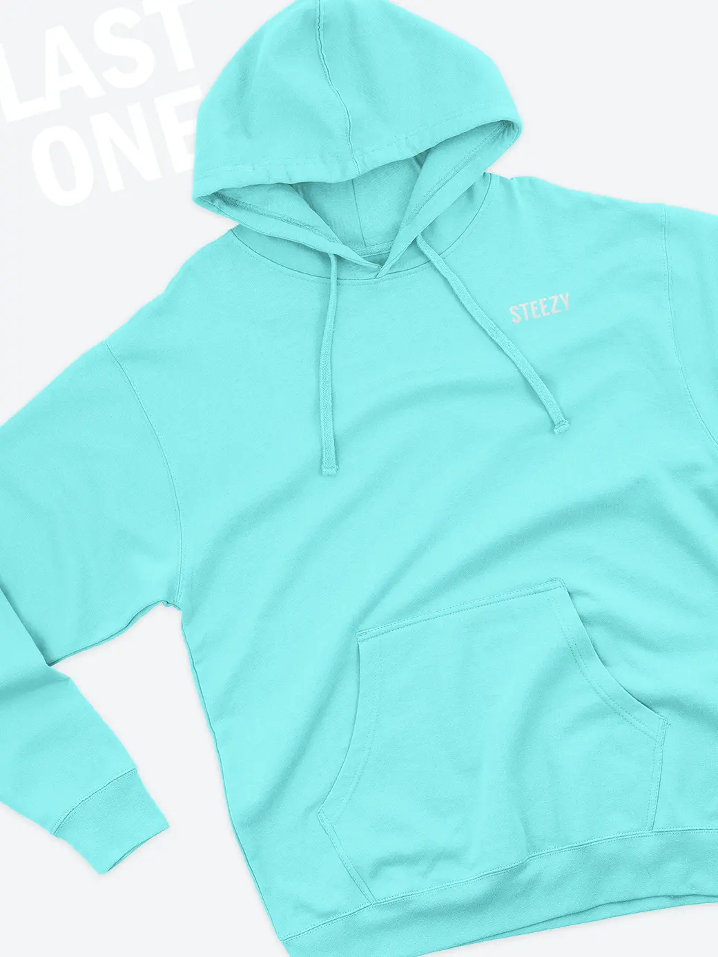 Mint Steezy Text Left Chest Hoodie (S)