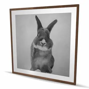 Rabbit 48x48 in. Framed Matted Animal Print Wall Art, Aesthetic Gray Artistic Design - Home Decor Decoration, Art Wall Decoration Gift (C1FM48481QOBR), Aesthetic Design