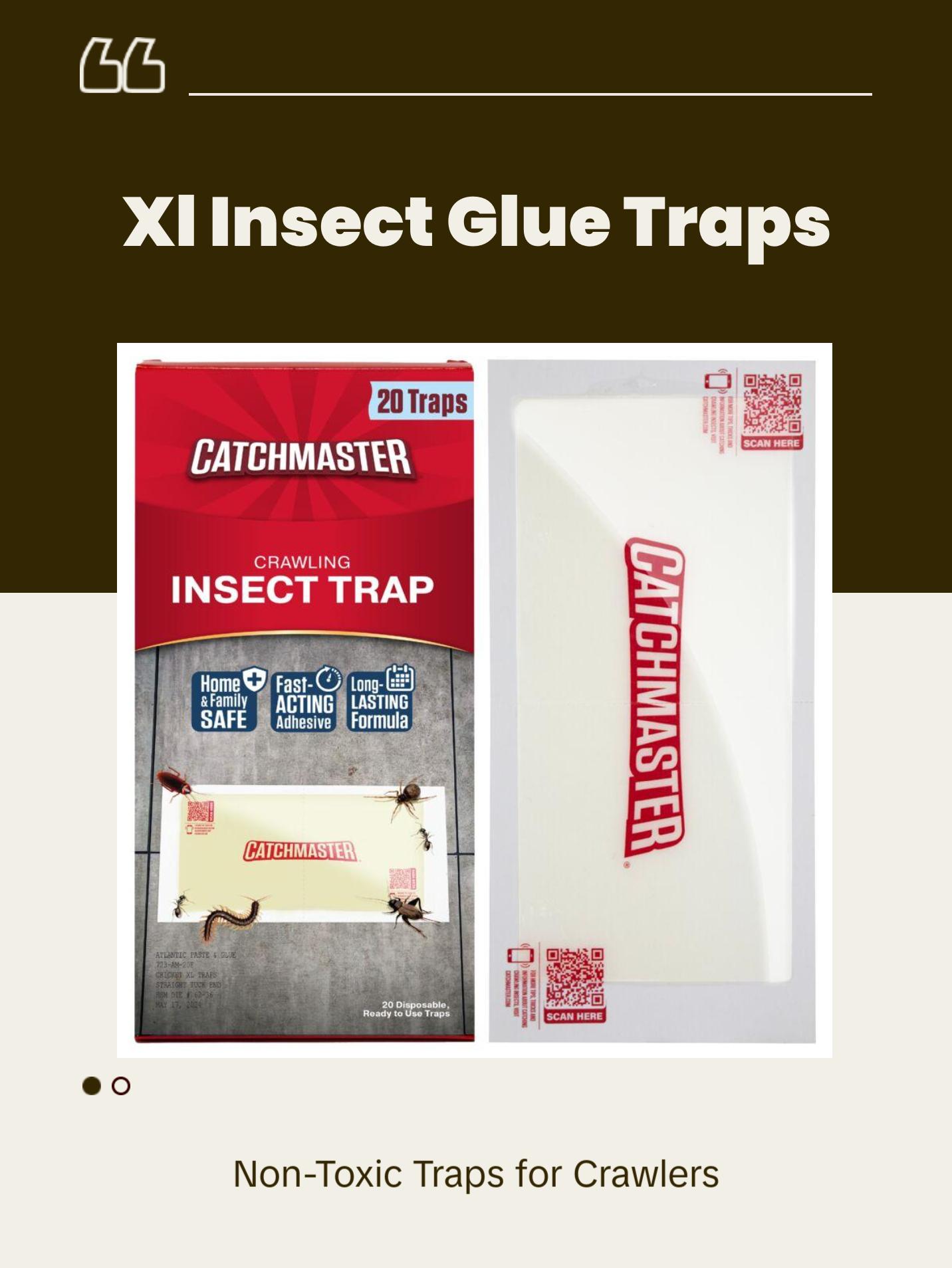 Catchmaster XL Crawling Insect Glue Traps