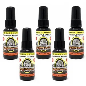 Pineapple Vanilla Air Freshener Bundle (5 Pack)