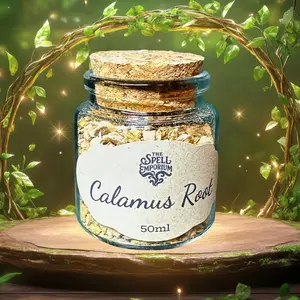 Calamus Root