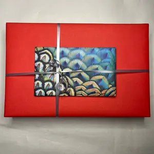 Heavy Reading Bundle - blind date with a book