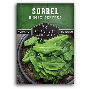 Sorrel Seeds