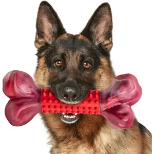 Apasiri Tough Dog Toys for Aggressive Chewers Large Breed, Dog Chew Bone with Beef Flavor, Nylon & Rubber Chew Toy for Medium Large Dogs