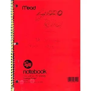 Journals -- Kurt Cobain, Paperback