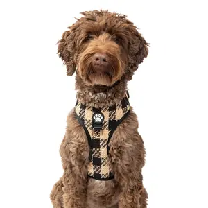 B&C Tweed Harness | Adjustable, No Pull Dog Harness, Classic Design, Gold Metal Hardware