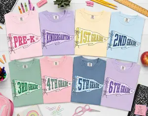 Comfort Colors Teacher Team Shirts, Back to School Shirt, Custom Grade Level Tees, Leopard Pennant Flag First Second Third Fourth Fifth Grade Tee