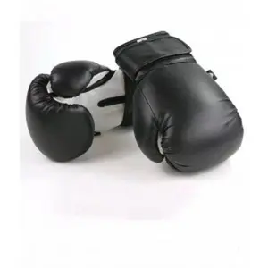 Premium Fight Shop Starter Boxing Gloves