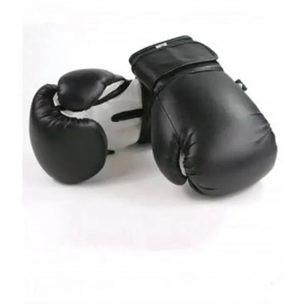 Premium Fight Shop Starter Boxing Gloves