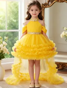 Toddler Girl's Glitter Sequin Decor Tulle Dress, Elegant Sleeveless Round Neck A Line Dress for Party Performance Birthday, Kids Clothes for All Seasons