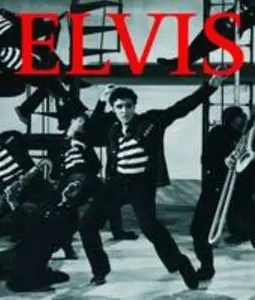 USED-Elvis (Icons Gift Tins) by Susie Behar (Hardcover)