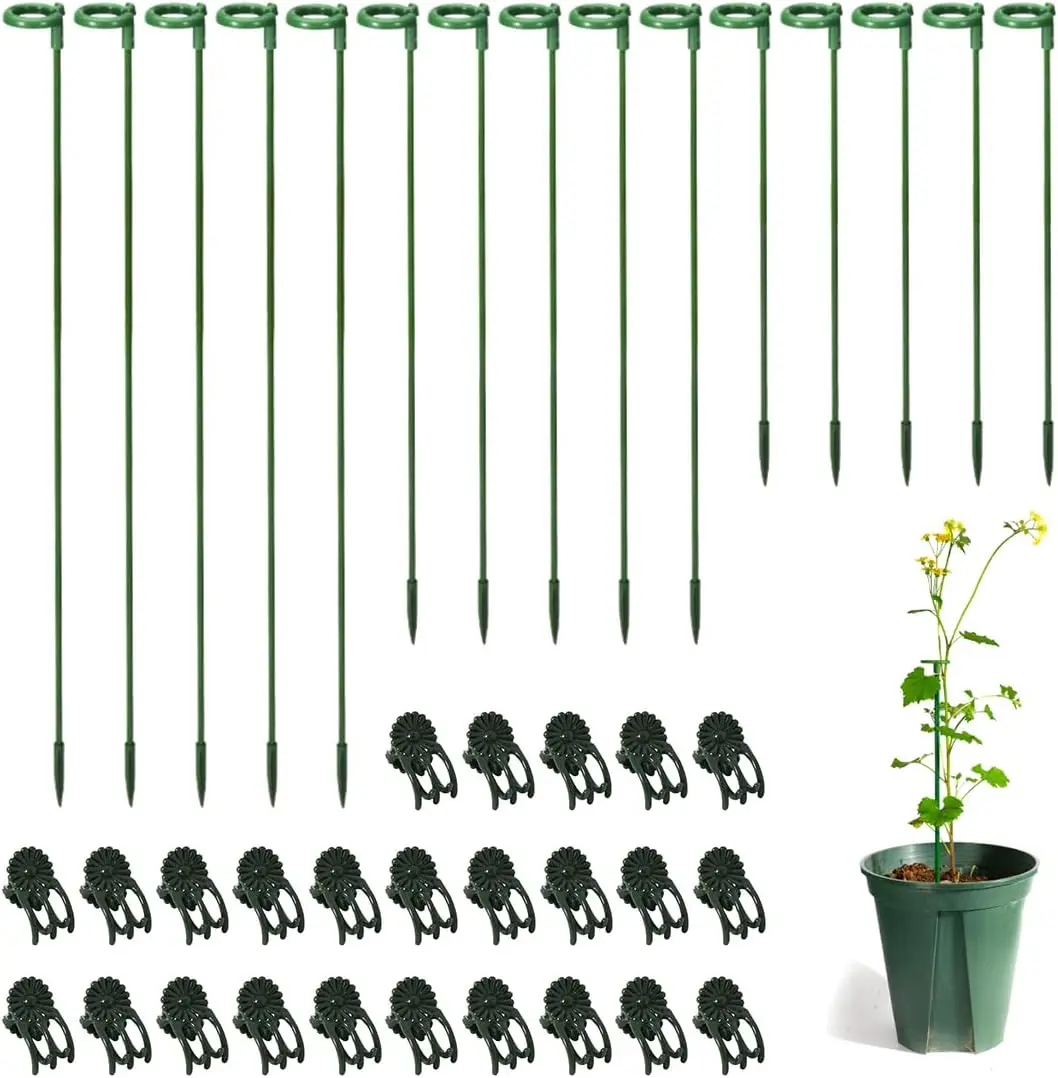 30 Pcs Plant Support Stakes with 30 Pcs Plant Clips Garden Floral Flower Support Single Stem Support Stake for Phalaenopsis Orchid Flower Roses Amaryllis