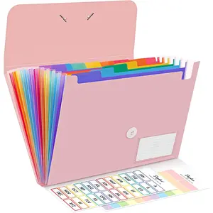 Expanding File Folder, Accordion File Organizer with 13 Pockets for A4/Letter Sized Paper, Accordion Folder with Labels - Document Receipt Organizer for Office, School,