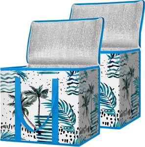 Insulated Reusable Grocery Bags 2 Pack – Large Collapsible Cooler Tote, Heavy Duty Thermal Shopping Bags for Groceries, Food Delivery, Picnic & Storage (16" x 9" x 13")