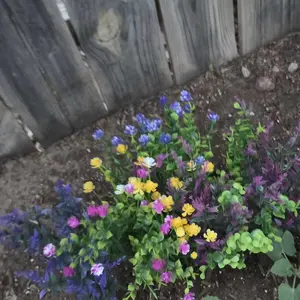 review image 7