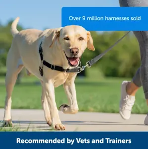 PetSafe Easy Walk No Pull Harness