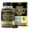 Shilajit Gummies with Sea Moss, Ashwagandha & Lion’s Mane – Pure Himalayan Supplement for Energy & Immunity Support – Vegan, Third-Party Tested – 60 Gummies