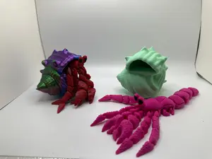 Hermit Crab