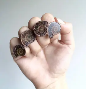Electroformed Ammonite Ring