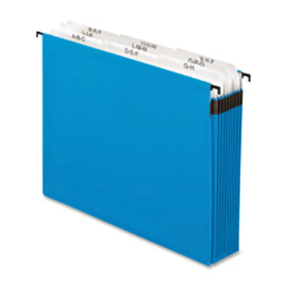 Esselte Pendaflex ESS59225 Hanging Expanding Folder - 9 Sections, Letter Size, Blue, 10 Pressure-Sensitive Blank & Pre-Printed Tabs, Customized Headings, A-Z Labels, Tyvek Tape, SFI Certified, File Drawer Compatible, Tickler/Hot File for Current Projects,
