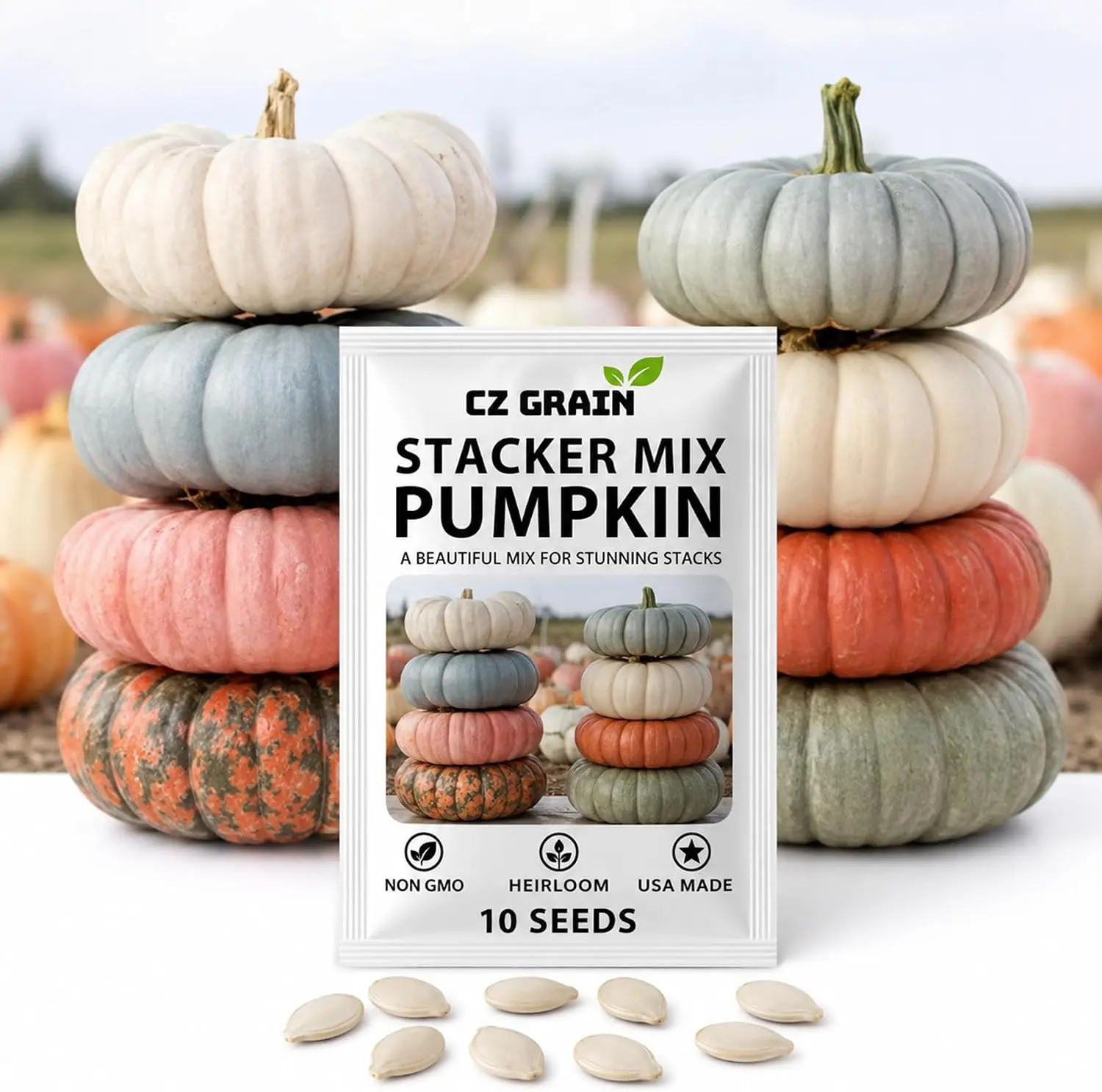 10 Heirloom Pumpkin Seeds for Planting, Unique Decorative & Giant Pumpkin Varieties, Non-GMO Fall Garden Seeds, Rare Specialty Pumpkins for Harvest Decor & Home Gardens (Stacker Mix)