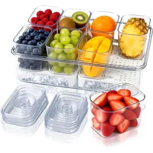 Chilled Condiment Tray Server Set with 8 Containers and Removable Compartments Large Ice Condiment Organizer Clear Garnish Serving Tray Platter for Mimosa Bar Accessories Fruit Salad Food