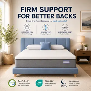 【Live Exclusive-FB】FANSACE 10 inch Queen Size Gel Memory Foam Mattress with Breathable Cover, Medium Firm for Pressure Relief & Back Pain, No-Fiberglass, CertiPUR-US Certified, 100-Night Trial, Mattress in a Box (Couple Choice), 10 Inch