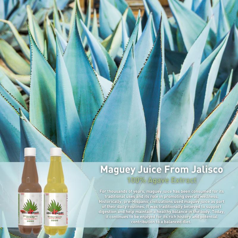 Yerbero - Jugo De Maguey Jalisco Natural Flavor 33.3 Fl oz (1 Liter) - Maguey Juice - Antioxidant Natural - 100% Jugo de Penca de Maguey