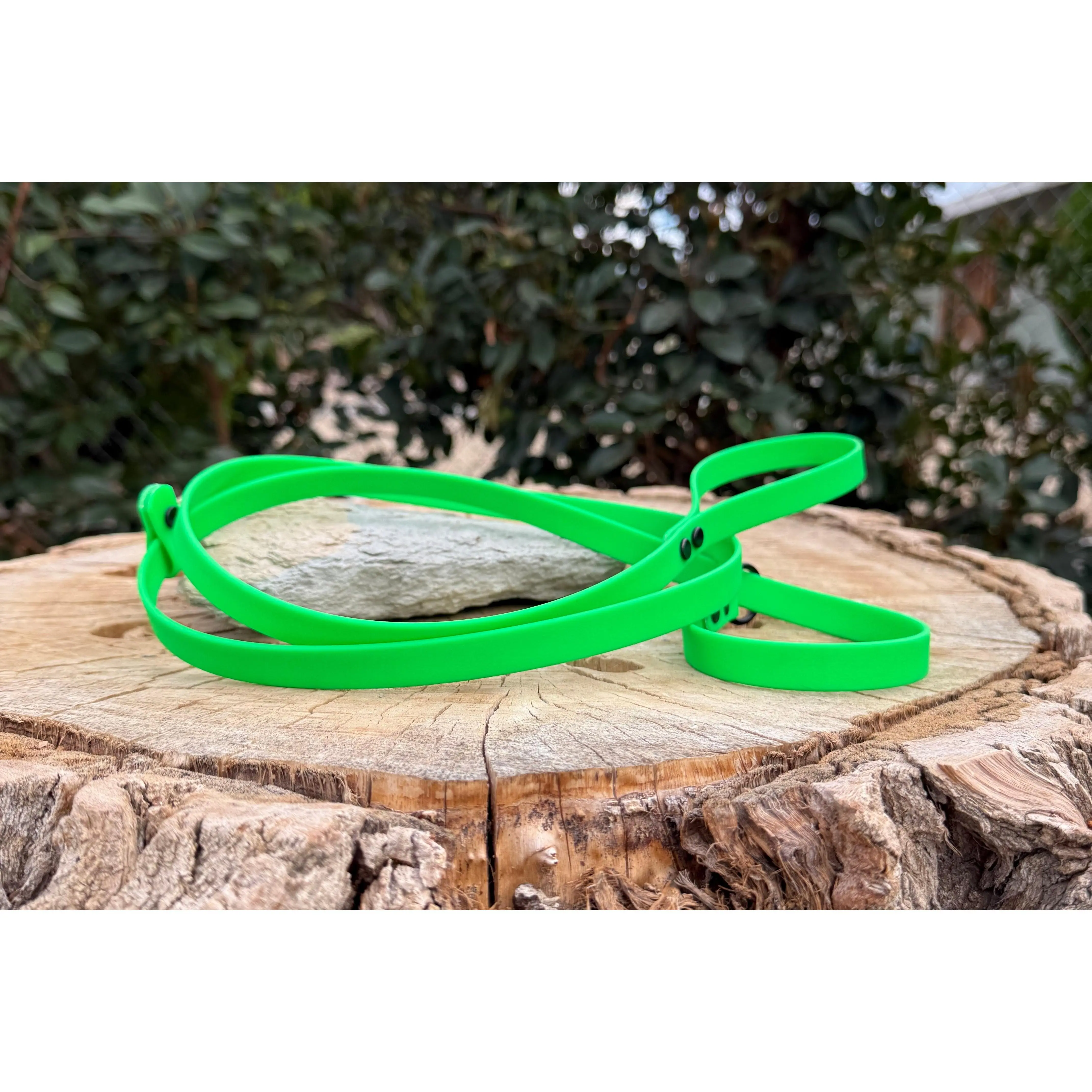 5/8″ Biothane® Slip Leash | Waterproof Dog Lead by Chaotic Gear