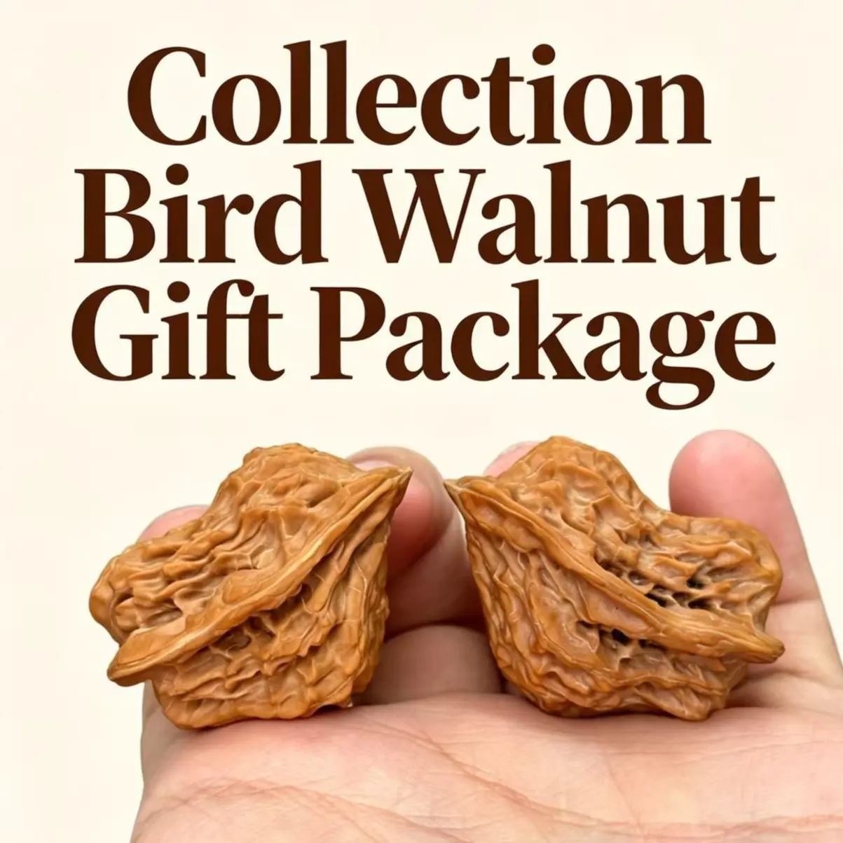 Color Toy Bird Walnuts Natural Wood Ornaments - Beginner-Friendly Collectible Hand Fidget Toy for Stress Relief and Patina Development, Collectibles, Squeeze Stress Relief, Pocket Stress Relief