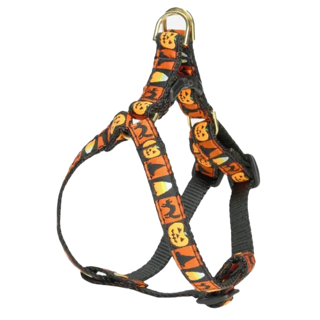 Teacup Harness | Halloween
