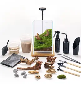 Tall Glass Terrarium Kit with Grow Light – DIY Moss Landscape Set with Tools, Driftwood, Soil & Pebbles – Modern Tabletop Décor for Home & Office