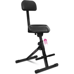 Standard Guitar Stool with Backrest