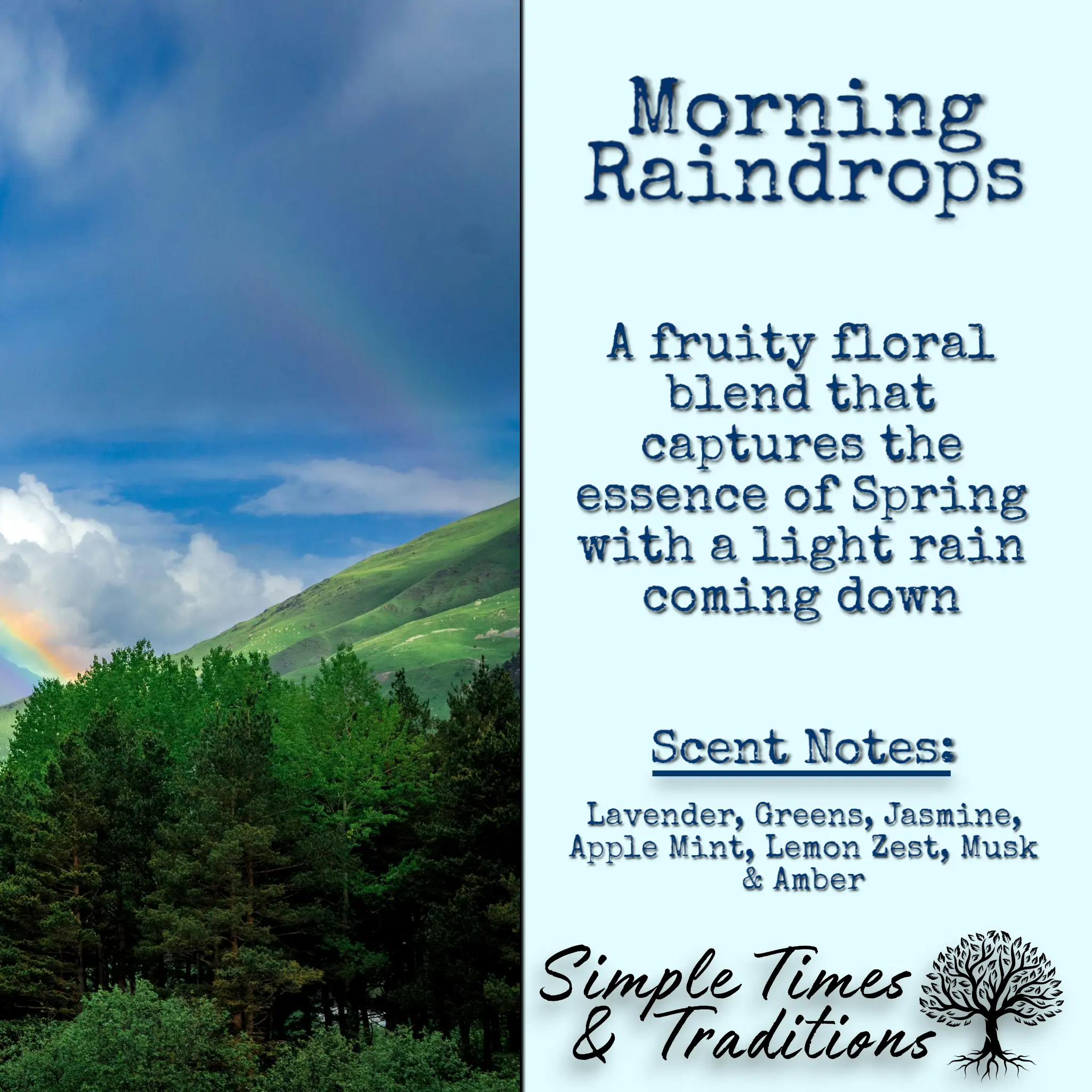Morning Raindrops