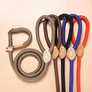 1 PC Heavy Duty Braided Dog Slip Lead Leash, Adjustable Loop Collar No Pull Training Leash, Strong Durable Rope Lead for Small Medium Dogs Walking Obedience Training