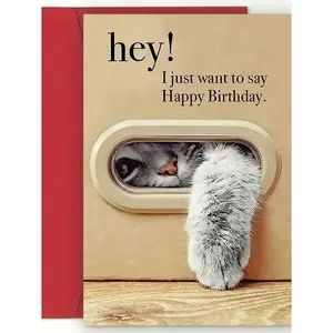 Unique Cat Birthday Card, Best Gift for Family and Friends, Happy Birthday Greeting Card with Envelope, Cute Aesthetic Item